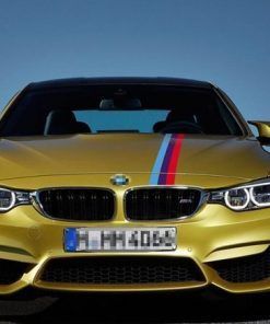 Alternative view of Bandera BMW motorsport