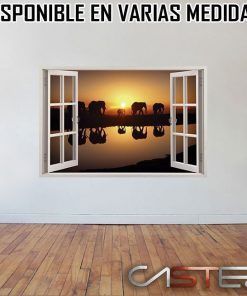 Vinilo Ventana Africa #1
