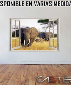 Vinilo Ventana Africa #2