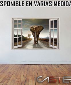 Vinilo Ventana Africa #3