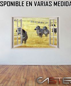 Vinilo Ventana Africa #4