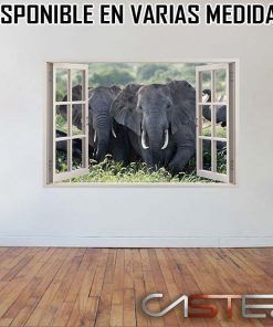 Vinilo Ventana Elefante