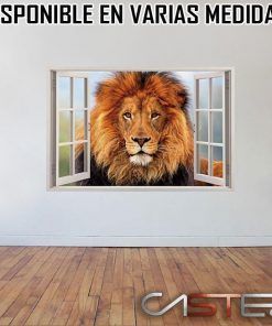 Vinilo Ventana Leon