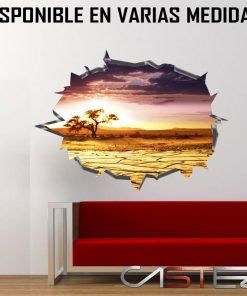 Vinilo Agujero Pared Africa