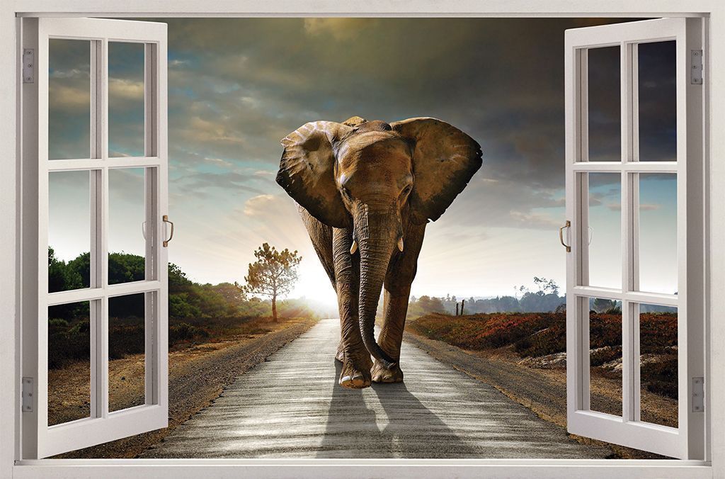 Vinilo Ventana Africa #3 - Imagen 2