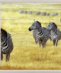 Alternative view of Vinilo Ventana Africa #4