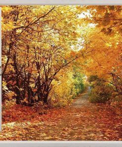 Alternative view of Vinilo Ventana Bosque Otoño