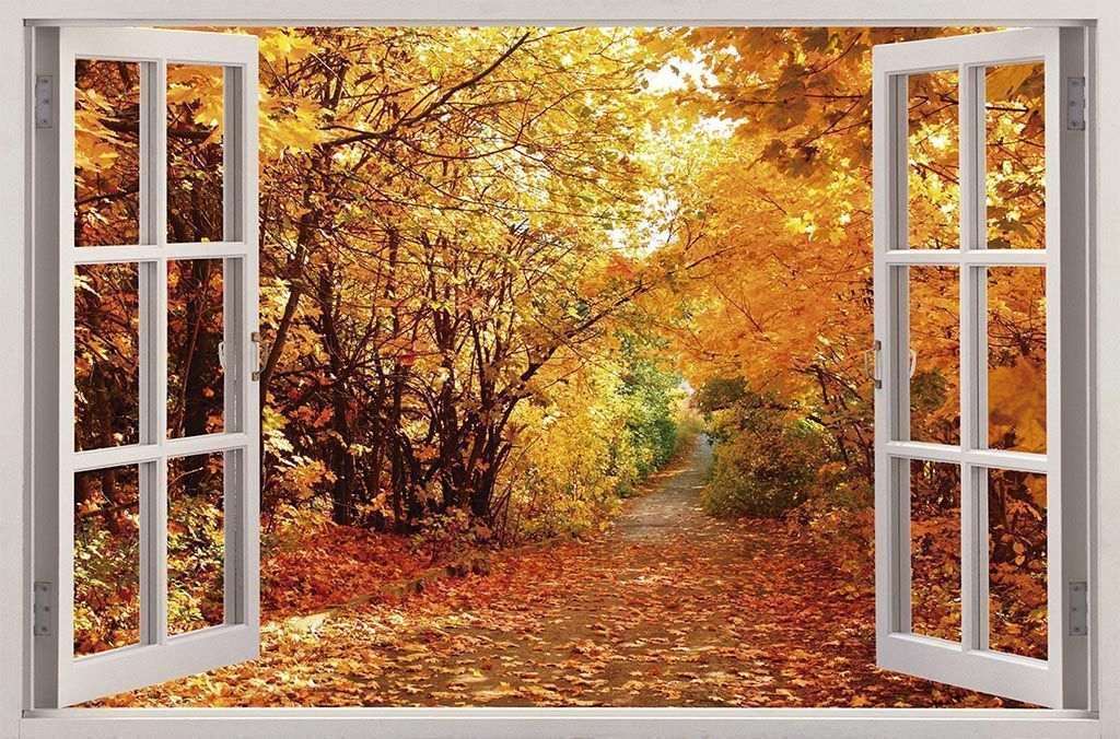 Vinilo Ventana Bosque Otoño - Imagen 2