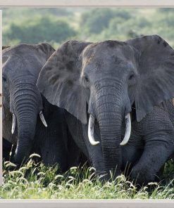 Alternative view of Vinilo Ventana Elefante