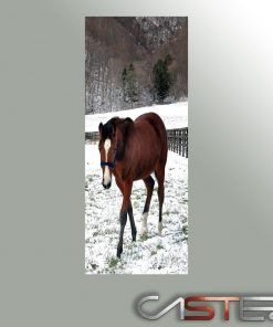 Alternative view of Vinilo Frigorifico Caballo nieve