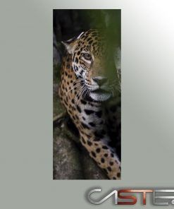 Alternative view of Vinilo Frigorifico Jaguar