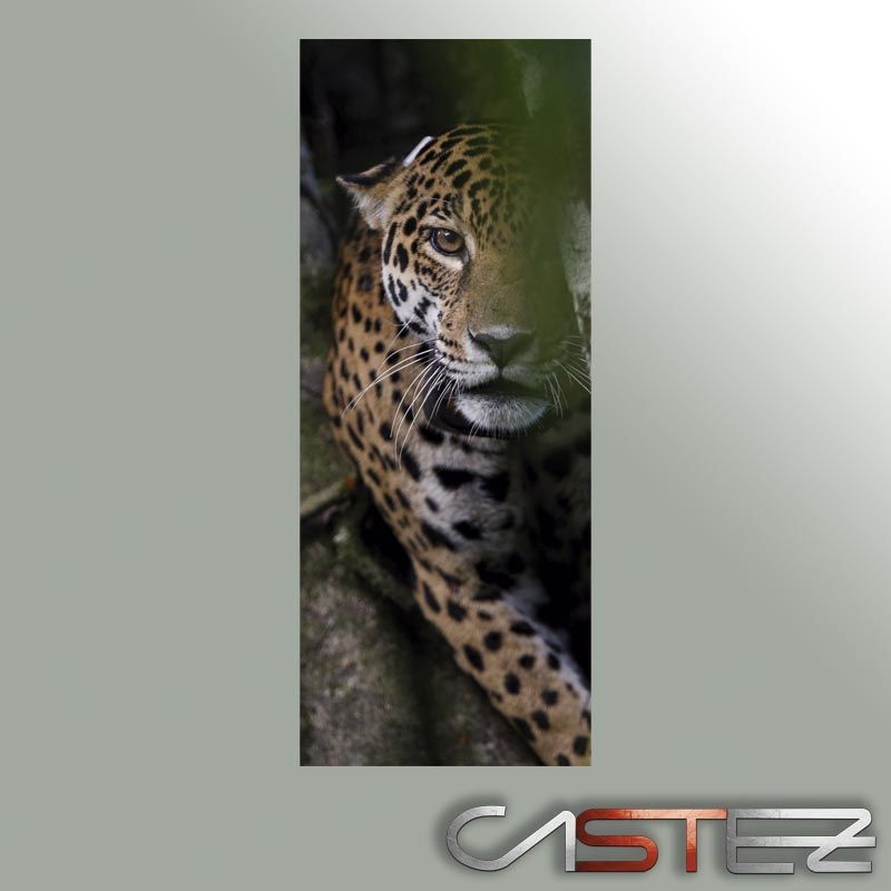 Vinilo Frigorifico Jaguar - Imagen 2