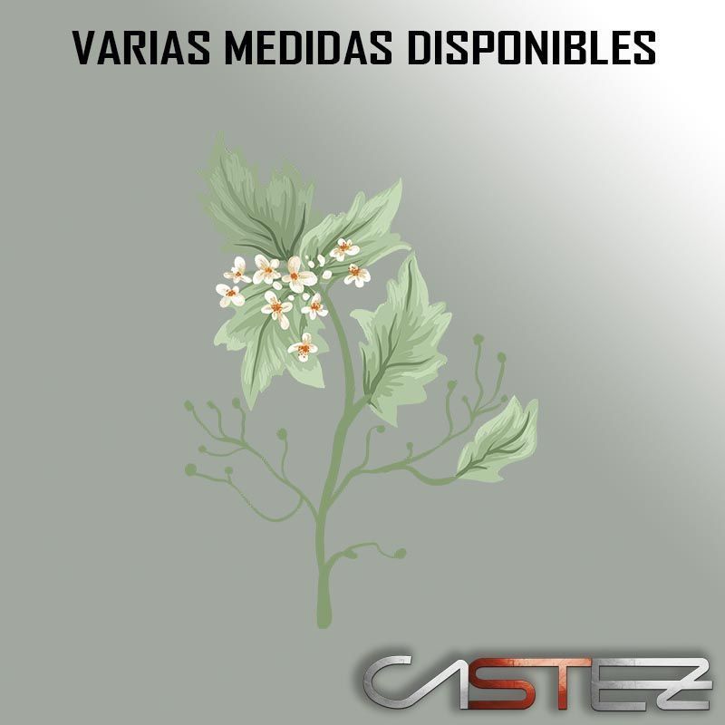 Vinilo Color Flores #2 - Imagen 2