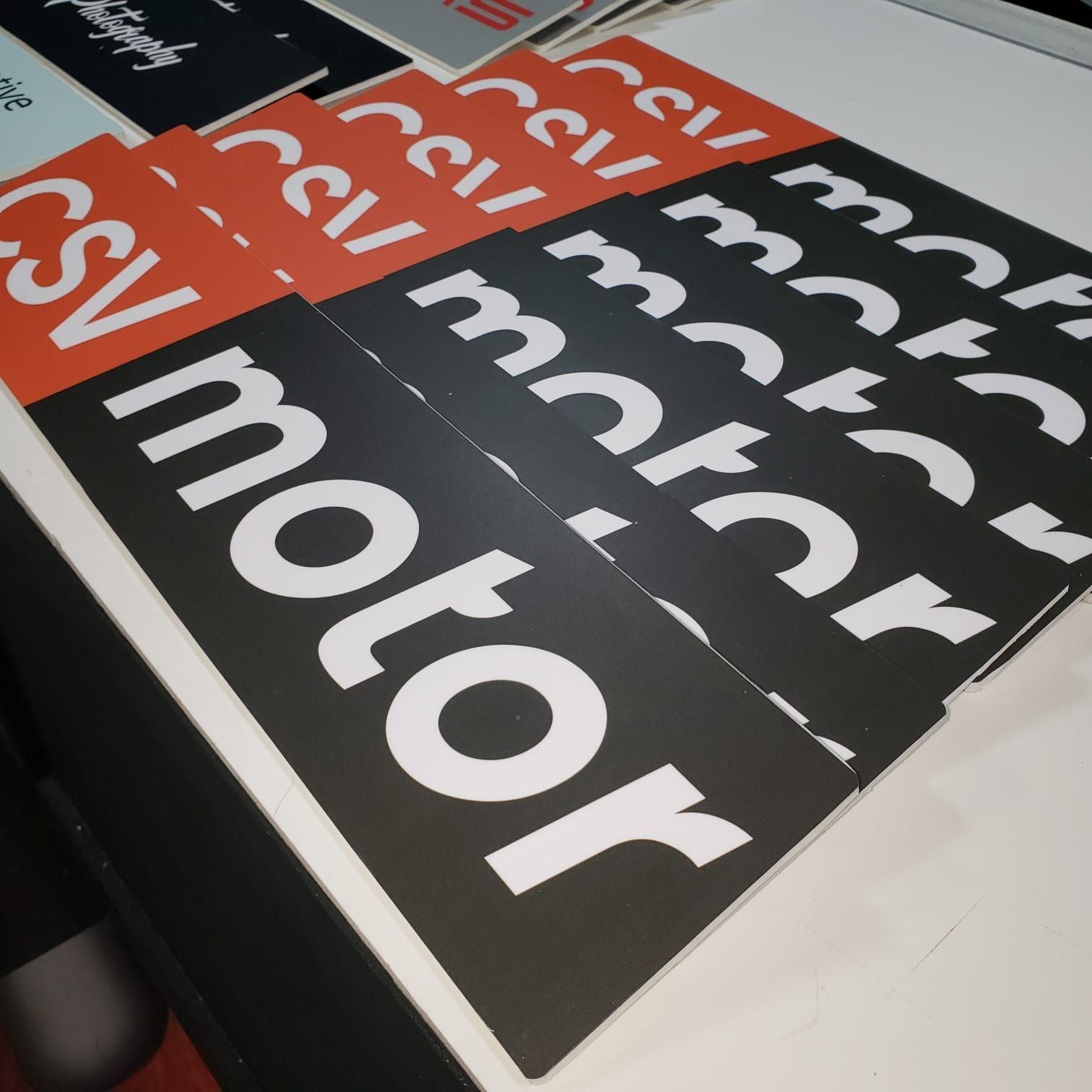 Cubre Matrículas Personalizado - Imagen 4