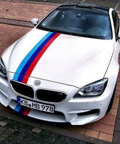 Alternative view of Vinilo Franja Colores BMW
