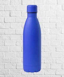 botella acero inoxidable