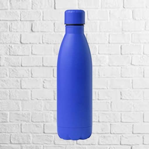 botella acero inoxidable