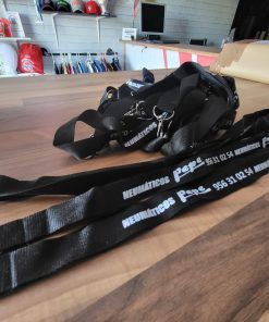 Alternative view of Lanyard Ecohost